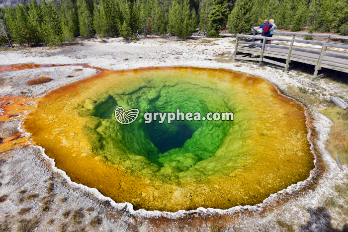Morning Glory Pool (Yellowstone NP) - gryphea.com